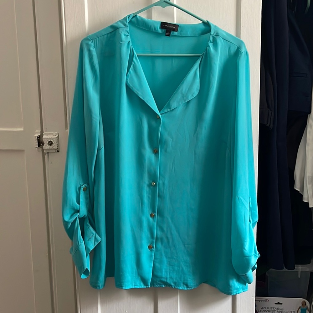 The Limited button down blouse